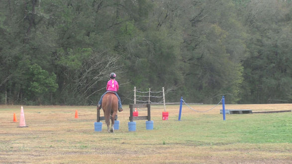 June and LEO Round 1 on  02/28/2026